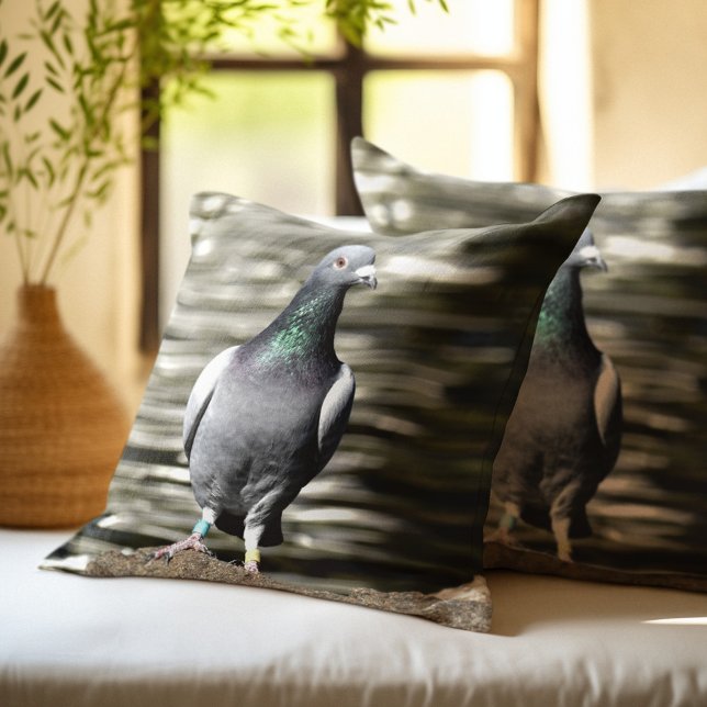 Coussin Pigeon (Créateur téléchargé)