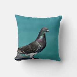 Coussin Pigeon biset