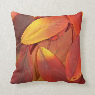 Coussin Pile de plan rapproché rouge de feuille d'automne