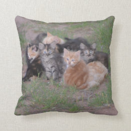 Coussin Pile des chatons