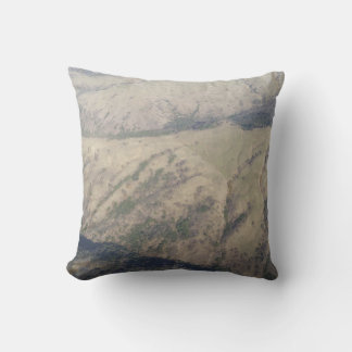 Coussin Pillow Art #3
