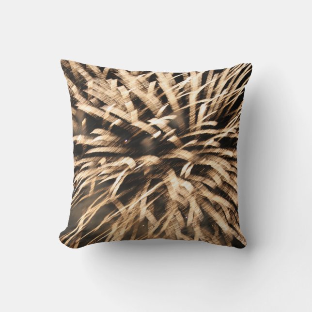 Coussin Pilote de lancement Fireworks (Recto)