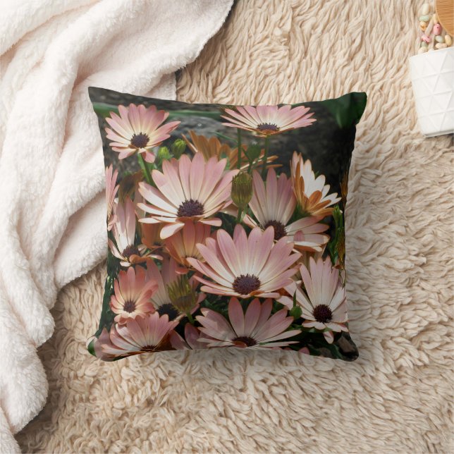 Coussin Pink African Daisy Flowers  (Couverture)