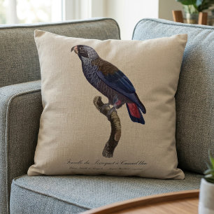 Coussin Pionus fuscus, ou Pion gris-perle, ou Pionus sombr