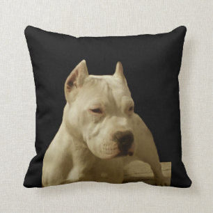 Coussin Pitbull blanc Terrier