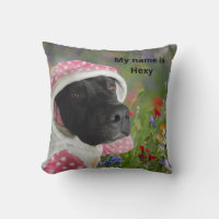 Pitbull noir dans un pochoir rose Polka - Floral M