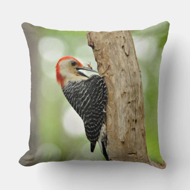 Coussin Pivert Rouge-Gonflé (Recto)
