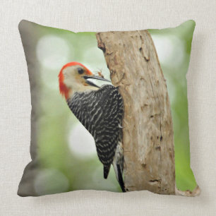 Coussin Pivert Rouge-Gonflé