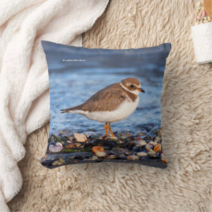 Coussin Plage de l'oiseau de rivage semi-palmé