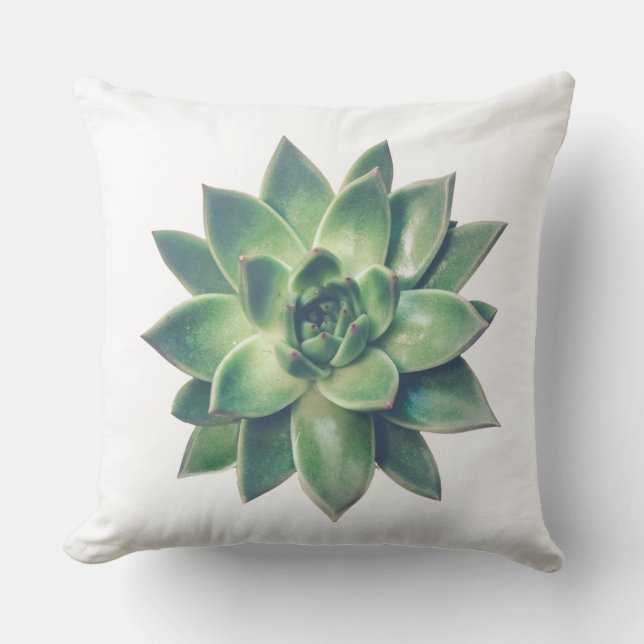 Coussin Plante moderne vert amical sur blanc (Recto)