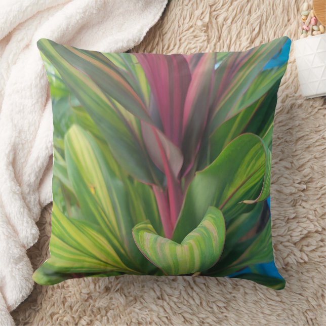 COUSSIN PLANTE PLUS (Couverture)