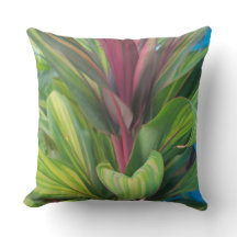 PLANTE PLUS