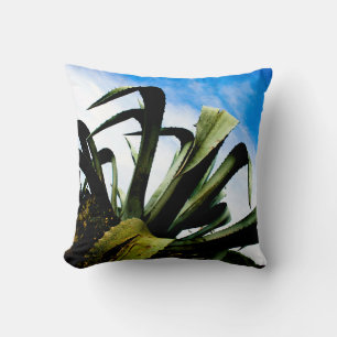 Coussin Plante vert en aloe avec ciel bleu clair