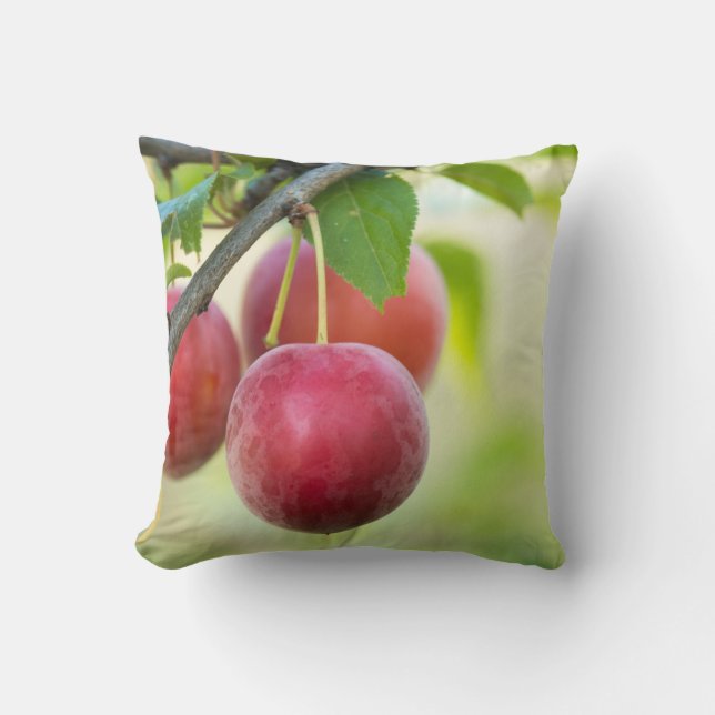 Coussin Plum cerise sur branche (Recto)