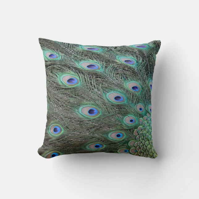 Coussin Plumes de queue de paon (Recto)