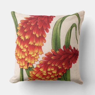 Coussin poignards de hotentot alias kniphofia