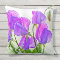 Pois doux du jardin