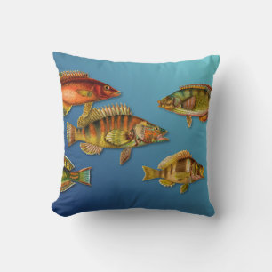 Coussin Poisson Coloré