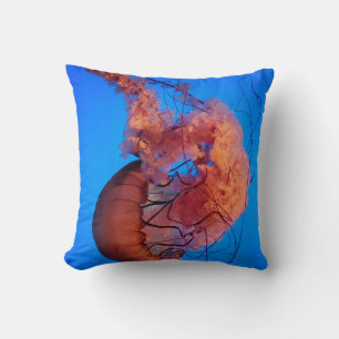 Coussin Poisson gelé