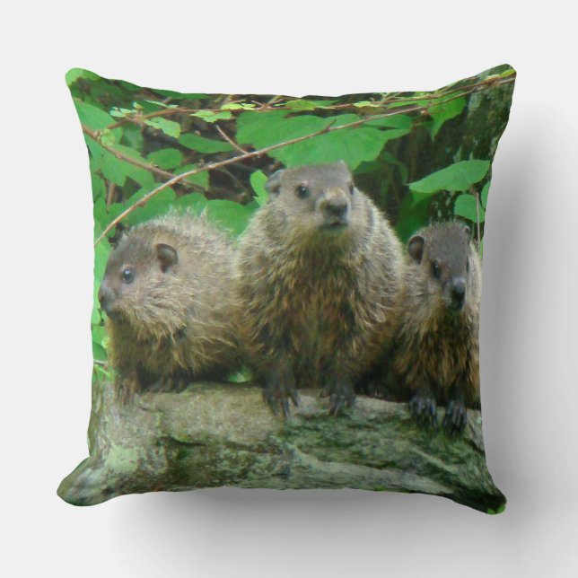 Coussin Poissons de fond pour bébés - Bois - Pois de foin (Recto)