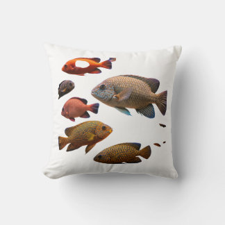 Coussin poissons multicolores
