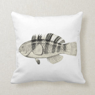 Coussin Poissons vintages de NZ de la Science - poissons