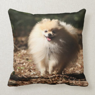 Coussin Pomeranian trottant dans le feuille tombé