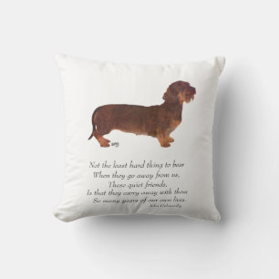 Coussin Pont arc-en-ciel de Dachshund