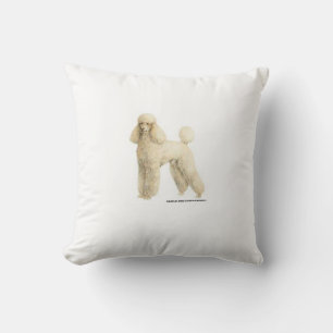 Coussin Poodle — Clip de chiot