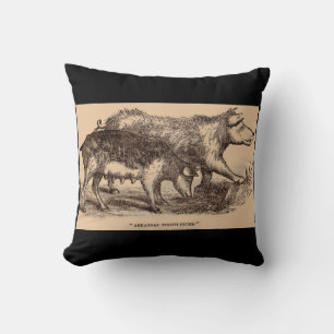 Coussin Porcs posters de animaux de ferme du 19e siècle