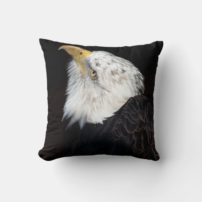 Coussin Portrait de Bald Eagle (Recto)