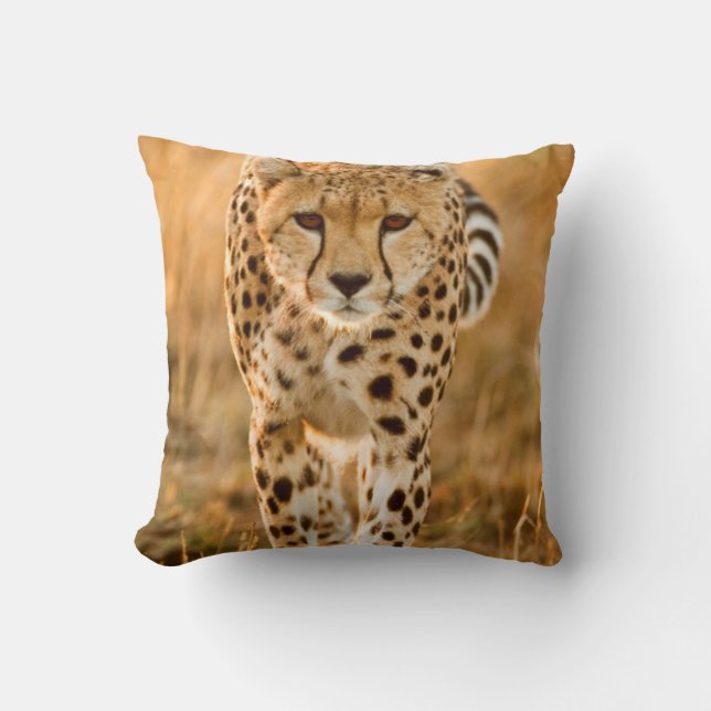 Coussin Portrait de Cheetah (Recto)