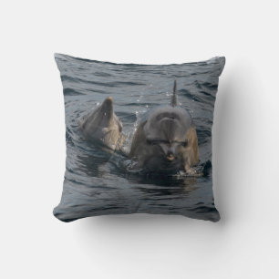 Coussin Portrait de Dolphins Close-up, Tasmania, Australie