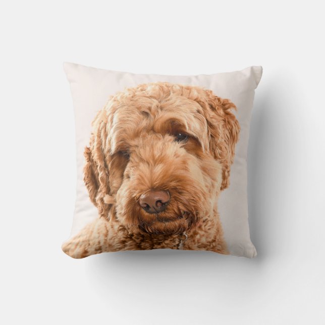 Coussin Portrait de Goldendoodle Studio (Recto)