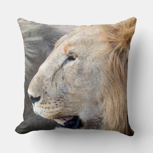 Coussin Portrait de Lion (Recto)