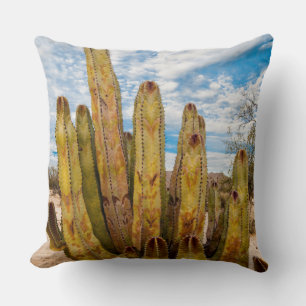Coussin Portrait de vieux cactus, Mexique