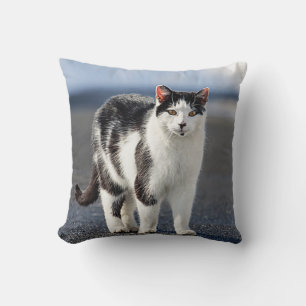 Coussin Portrait d'un chat
