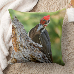 Coussin Portrait époustouflant d'un pic à tête rouge dans
