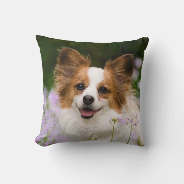 Coussin Portrait romantique de chien de Papillon, carré (Recto)