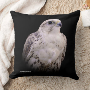 Coussin Portrait signé d'un faucon de Saker curieux