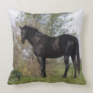 Coussin Position de cheval de pur sang