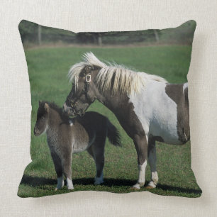 Coussin Position miniature de jument et de poulain