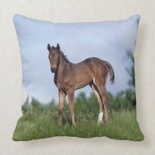 Coussin Poulain de pur sang se tenant dans l'herbe
