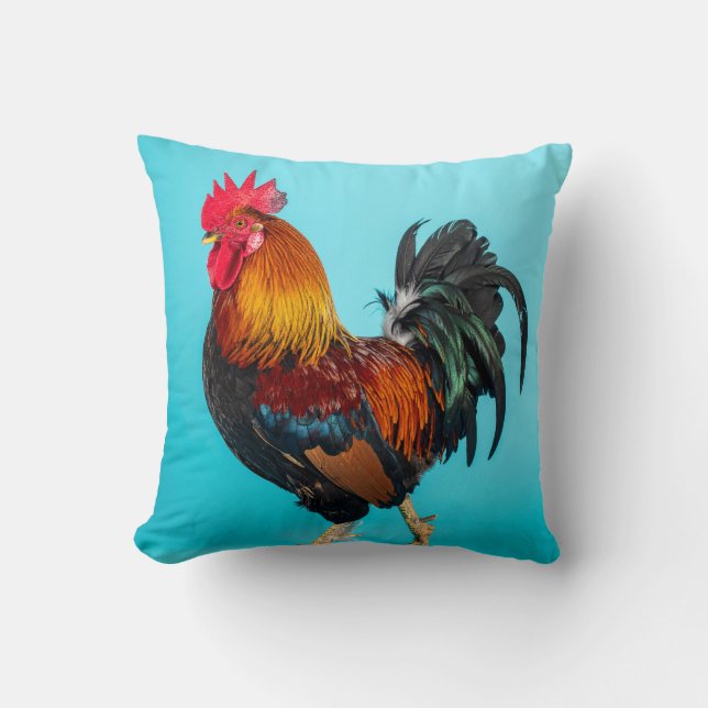 Coussin poulet (Recto)