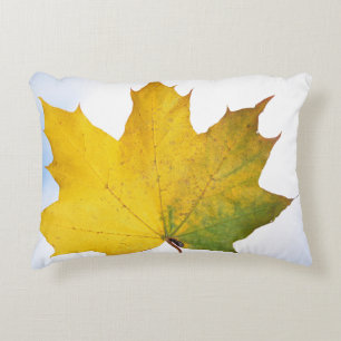 Coussin pour chaque chambre