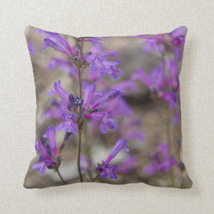 Coussin pourpre de fleurs de Penstemon