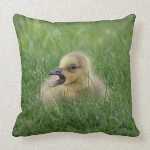 Coussin Poussin canadien d'oie