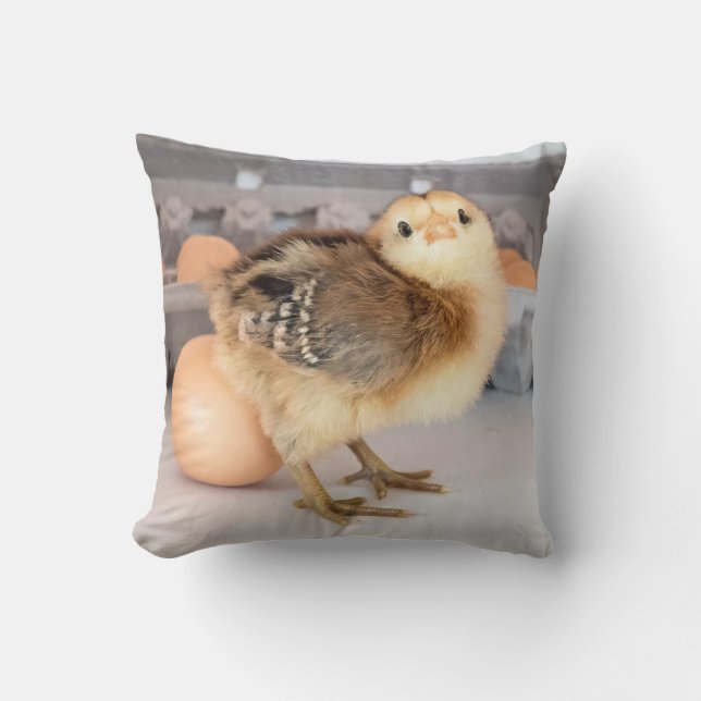 Coussin Poussin et oeufs précieux de bébé (Recto)