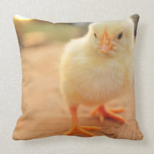 Coussin Poussins de bébé