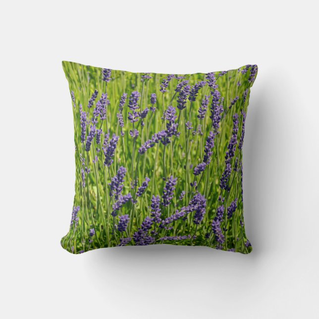 Coussin prairie de fleurs de lavande violette (Recto)